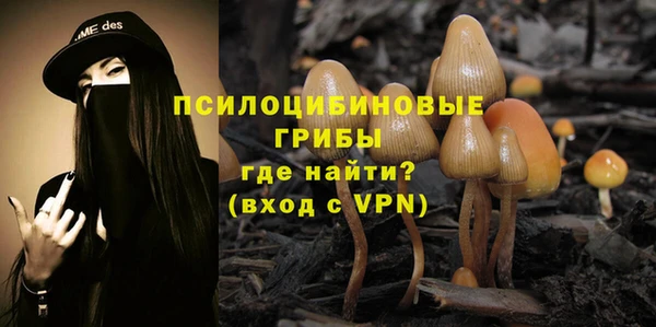 стафф Алексин