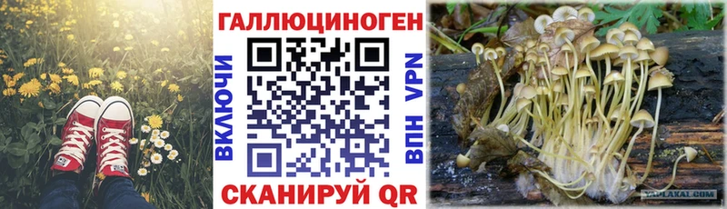 Галлюциногенные грибы Cubensis  Новоалтайск 